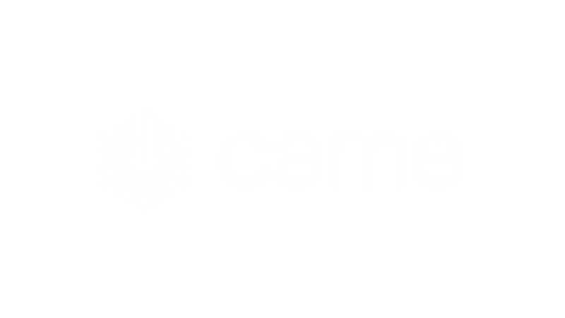logos_icav20